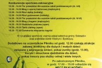 Plakat Pikniku Sportowego